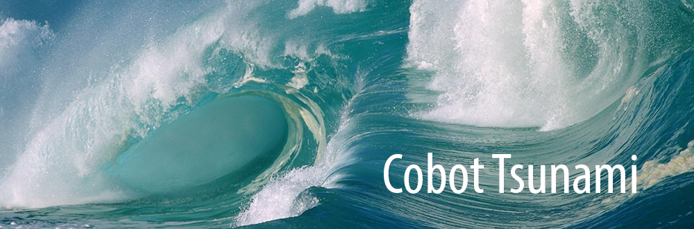 cobot-tsunami